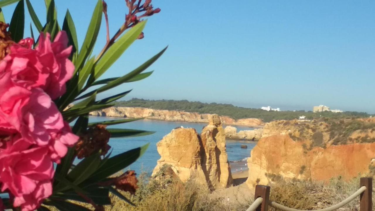 Albur Village B - Hyacinth Alvor Esterno foto